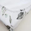 Eucalyptus Collection - Image 13