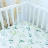 Eucalyptus Collection - Image 17