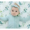 Eucalyptus Collection - Image 16