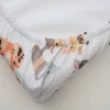Safari Collection - Image 10