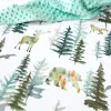 In to the Woods Collection