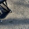 Graco Single Stroller - Reversible Views (Only Used for Play) - Image 4