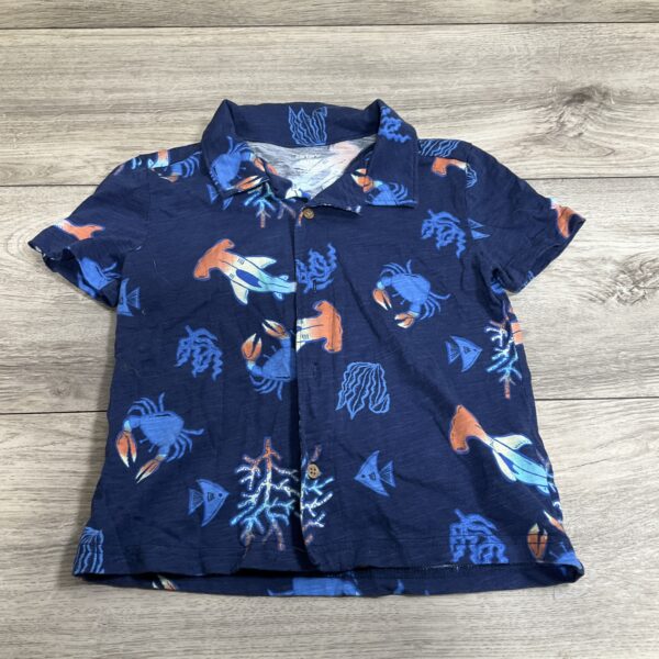 BOYS - 5T - Shirt