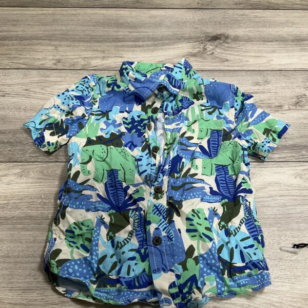 BOYS - 5T - Shirt